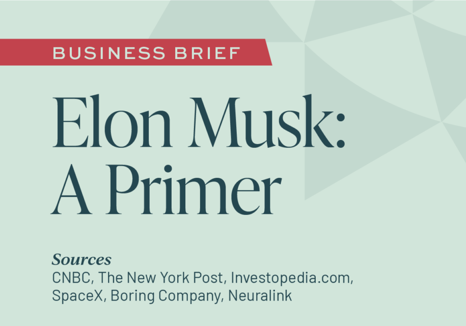 Elon Musk: A Primer